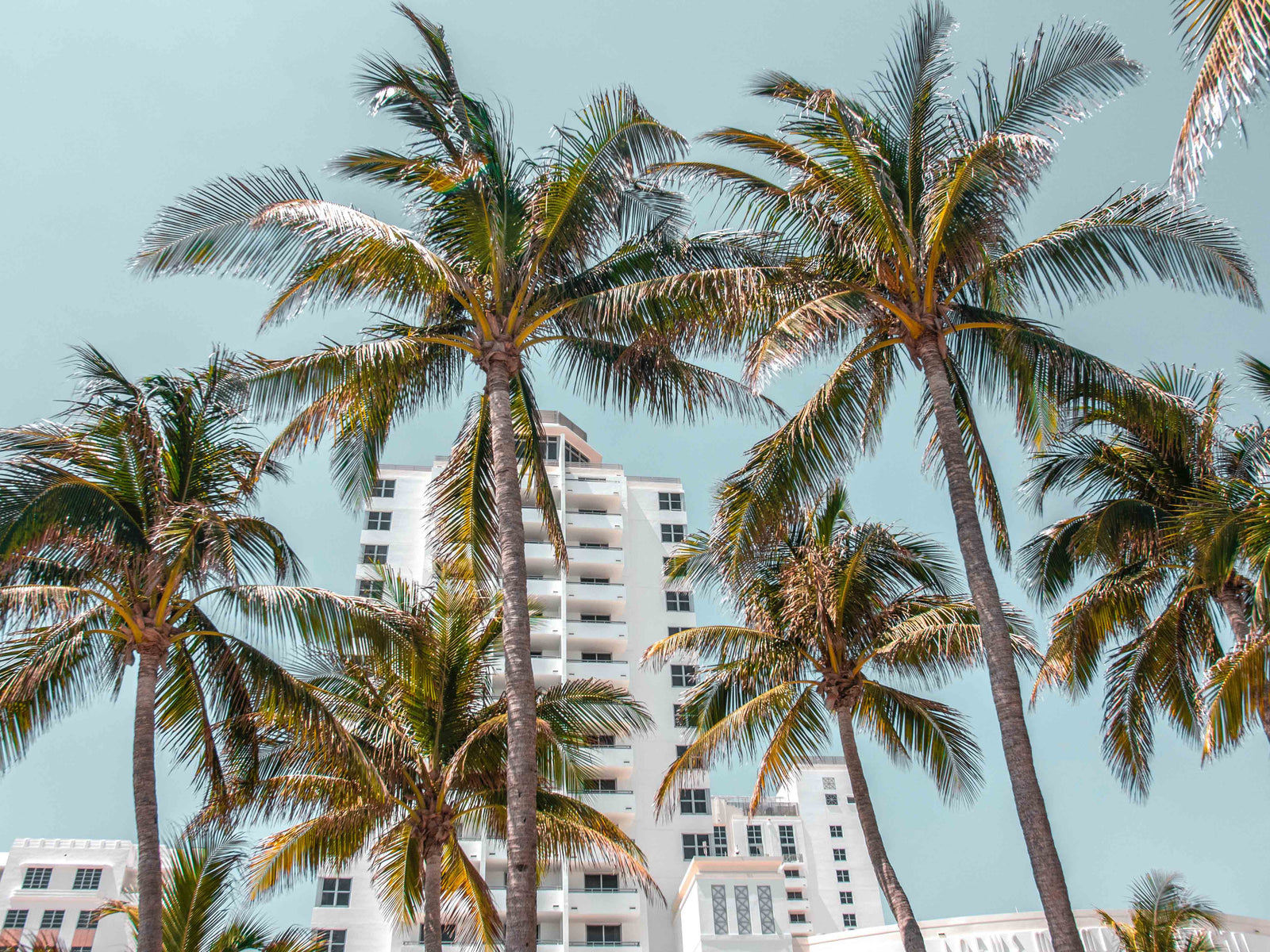 Now Brewing: Odeko Touches Down in Miami